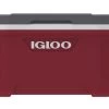 IGLOO Latitude 52QT Cool Box Red -Outdoor Camping Equipment Store k0f2e951baeacf3928ea847c824c4b8f0