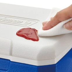 Coleman Performance 5QT Personal Cooler -Outdoor Camping Equipment Store k46f35c6c2c6dd2c6e9c46849a7f097f7