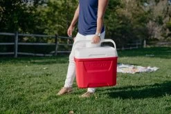 IGLOO Laguna 28QT Cool Box Red -Outdoor Camping Equipment Store k7261c800915913834b6a43a5a82e78a3