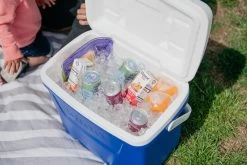 IGLOO Laguna 28QT Cool Box Red -Outdoor Camping Equipment Store kb309529a331bee3c9613a50999a7df51